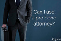 Pro bono lawyer