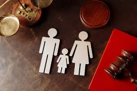 Identifying toxic traits and Parental Alienation Signs in Court accurately before trial.